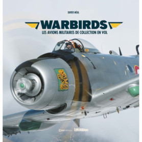 Warbirds - Les avions militaires de collection en vol