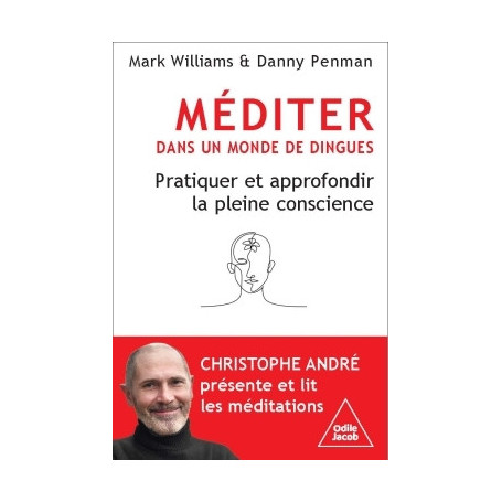 Méditer dans un monde de dingues