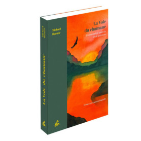 La voie du chamane collector