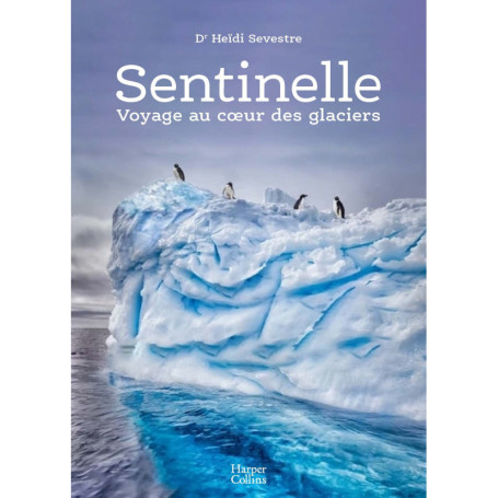 Sentinelle, voyage au coeur des glaciers