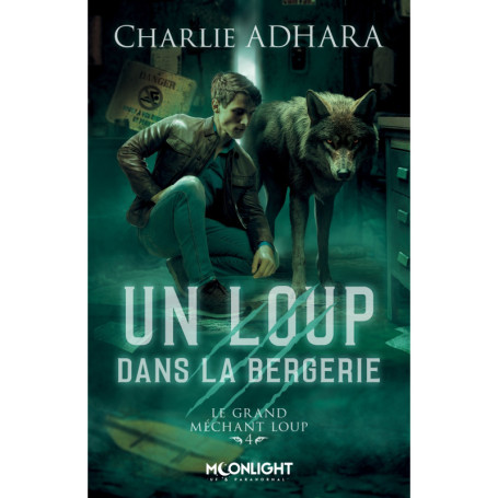 Un loup dans la bergerie