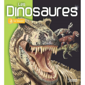 Les Dinosaures - À la loupe