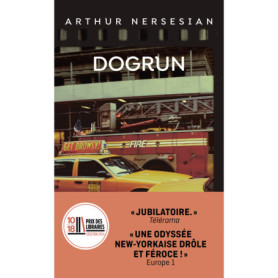 Dogrun