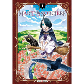 Marie la Sorcière T01