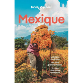 Mexique 15ed - Guide de voyage Lonely Planet