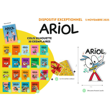 Colis 30 vol silhouette - Ariol T21 - nov 25