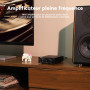 AIYIMA A1001 amplificateur de subwoofer Mono Classe D amplificateur Audio Amplis de Puissance numérique HiFi amplificateur 10...