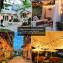 ZOTOYI Guirlande Lumineuse Exterieure 30m, Guirlande Guinguette Exterieur LED avec 30+2 Ampoules S14 en Plastique Incassable, Et