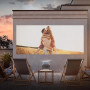 Hisense M2 Pro Smart Mini Projektor mit 4K UHD, Dolby Vision und Automagic AI Adjusting