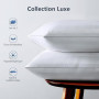 TESQ Oreiller 50x70 cm Lot de 2 Oreillers Confort Moelleux, Qualité Hôtelière de Luxe, Respirant et Hypoallergénique, Idéal pour