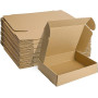 HORLIMER Petite Boîte Carton d'expédition 305x229x76MM Lot de 20, Carton de Livraison Pliable pour Expédition Postale, Courrier,