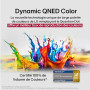 LG TV QNED AI 2025 | 50QNED8E | 50'' (126cm) | 4K UHD | HDR10 | webOS 25 | Télécommade AI Magic Remote | Alexa, Google Assistant
