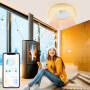 Vigevee 80W Ventilateur de Plafond avec éclairage, LED Variable Lumière du Ventilateur Mode été Hiver, avec Télécommande et APP,