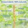 ORINKO Lot de 5 Bâtons de Siwak + Étui de protection – Brosse à Dents 100% Naturelle – Nettoyant, Désinfectant et Blanchissant -
