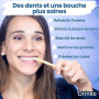 ORINKO Lot de 5 Bâtons de Siwak + Étui de protection – Brosse à Dents 100% Naturelle – Nettoyant, Désinfectant et Blanchissant -