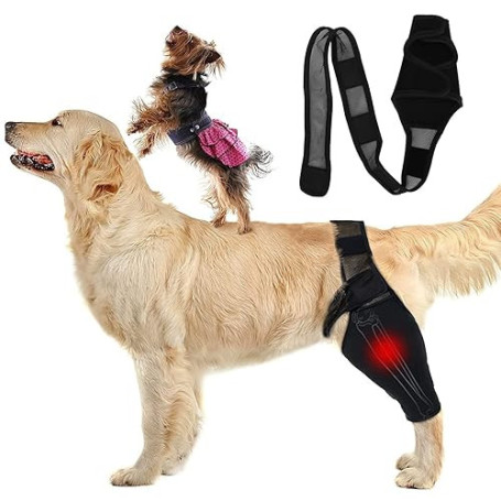 Protège-coude pour Chien, Protège-coude pour Chien pour le Soutien du Coude et de L'épaule du Chien Hygroma du Coude, Dysplasie,
