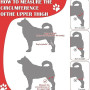 Protège-coude pour Chien, Protège-coude pour Chien pour le Soutien du Coude et de L'épaule du Chien Hygroma du Coude, Dysplasie,