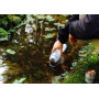 OKO H2O Bouteille de filtration pour chlore, plomb, micro plastiques et autres contaminants - 1 l