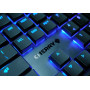 CHERRY MX 10.0N RGB, Clavier de Gaming mécanique Plat, Disposition française (AZERTY) Filaire, Original MX Low Profile RGB Speed