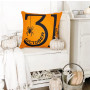16 Pièces Housses de Coussin Vierges pour Sublimation 40x40 cm, Taies d’Oreiller Blanches Personnalisables en Polyester Peau de 