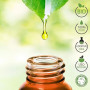 Encens Oliban Bio Huile Essentielle 100% Pure 5 ml - Aromatherapie Thérapeutique Alimentaire - Laborbio