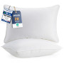 Utopia Bedding Pillow (Lot de 2), 50 x 70 cm, Oreiller de Sommeil, Coussin Respirant et Doux (Blanc)