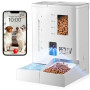 Distributeur Croquettes Chat Automatique avec Caméra, 2K HD Vision Nocturne, WiFi 2.4G/5G Contrôle App, Enregistrement Vocal Ant