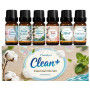 Coffret d'Huiles Essentielles Clean 6 x 10ml – Linge Frais, Coton, Poudre Douce, Menthe Poivrée, Maison Propre, Parfum Savon pou