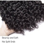 Tissage Bresilien Boucle 9A Brésilien Vague D'eau Vierge Cheveux 12 14 16 Pouces 100% Cheveux Naturel Bresilienne Bouclée les Ch