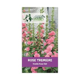 20 graines de Rose Tremiere rose clair - Alcea rosea - vivace - charter's rose