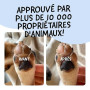 Belly® Baume Coussinet Chien - Hydrate, Guérit, Protège Contre Neige, Sel, Pattes Craquelées & Truffe - sans Parfum - Sûr à Léch