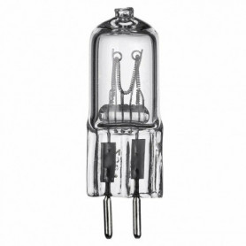 Ampoule à incandescence E27 Flash (Reconditionné A+) 23,99 €