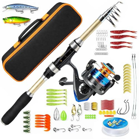 Kit de canne à pêche télescopique avec moulinet, canne à pêche en fibre de verre, kit de pêche complet avec ligne de pêche, appâ