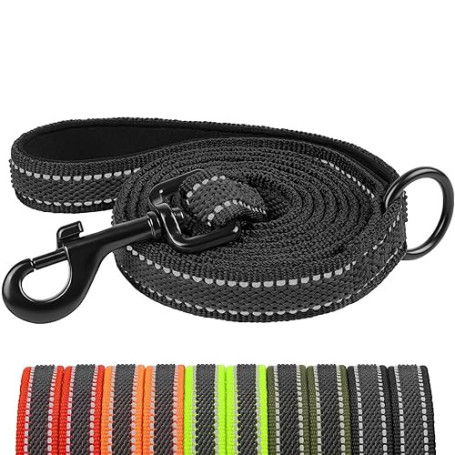 X XBEN Laisse pour Chien avec Poignée Confortable, 15MM-1,2M Laisse Solide et Réfléchissante pour Petits, Moyens et Grands Chien