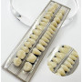 56 pièces de fausses dents 2 ensembles de dents de fausses supérieures et inférieures en résine synthétique, accessoire d’horreu