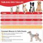 UFO PET Culotte Chiennes Chaleurs S Réutilisables, Couche pour Chien Femelle Lavables (Lot de 3), Culotte très Absorbantes pour