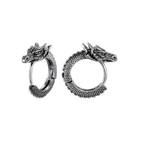 Richsteel Boucles d'Oreilles Dragon Bijoux pour Homme Femme Fil Rond Acier Inoxydable, Couleur: Argent/Or/Noir