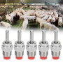 Abreuvoir Automatique pour porcs 5 pièces, Abreuvoir à tétines en Acier Inoxydable adapté aux porcelets de porcs d'élevage de tr