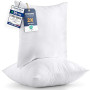 Utopia Bedding Coussins de Garnissage 65 x 65 cm (Lot de 2), Coussin à Recouvrir, Oreillers Intérieur, Rembourrage Coussins (Bla