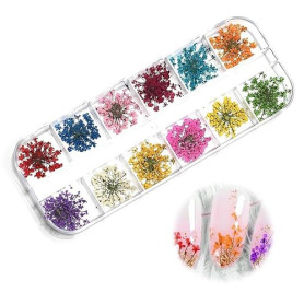 YUZNA Fleurs séchées pour Nail Art, 1 boîte, Autocollants pour Nail Art, Kit de fleurs séchées, Kit d'accessoires pour fleurs sé
