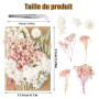 aurorayer Fleurs Séchées, Fleurs Sechees Naturelles Vraies Fleurs Pressées Séchées Decoration pour Scrapbooking Bougie Bricolage
