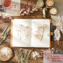 aurorayer Fleurs Séchées, Fleurs Sechees Naturelles Vraies Fleurs Pressées Séchées Decoration pour Scrapbooking Bougie Bricolage