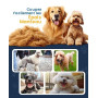 Oneisall Tondeuse à poils pour chiens de haute qualité, tondeuse sans fil entièrement étanche IPX7, adaptée aux poils longs et é