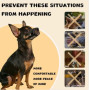 KEYRI 2 Pièces Muselière pour Chiens Muselière Souple Réglable pour | Chiens Respirant Muselière en Nylon Pour Chien Museliere A