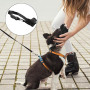 Museliere pour Chiens XS Noir | Muselière en Nylon Réglable Doux et Respirant Anti Aboiement Anti-Morsure Anti-Mastication pour
