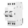 Inverseur de source monophasé 2P 63A commutateur Dual Power de transfert AC 240V petit commutateur de transfert manuel interrupt