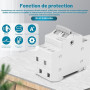 Inverseur de source monophasé 2P 63A commutateur Dual Power de transfert AC 240V petit commutateur de transfert manuel interrupt