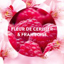 Air Wick Desodorisant Maison Recharge Diffuseur Electrique Fleur de Cerisier et Framboise - 3 x 19 ML