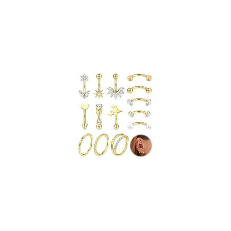 MILACOLATO 14 Pièces Piercing Rook Acier Inoxydable Femmes Plaqué Or Argent Arcade Sourcils Piercings Oreille Helix Daith Nez An