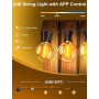 Guirlande Lumineuse Exterieure Dimmable, 30m Guirlande Guinguette Exterieur | APP et Télécommande, Musique Sync, Minuterie, 4 Mo